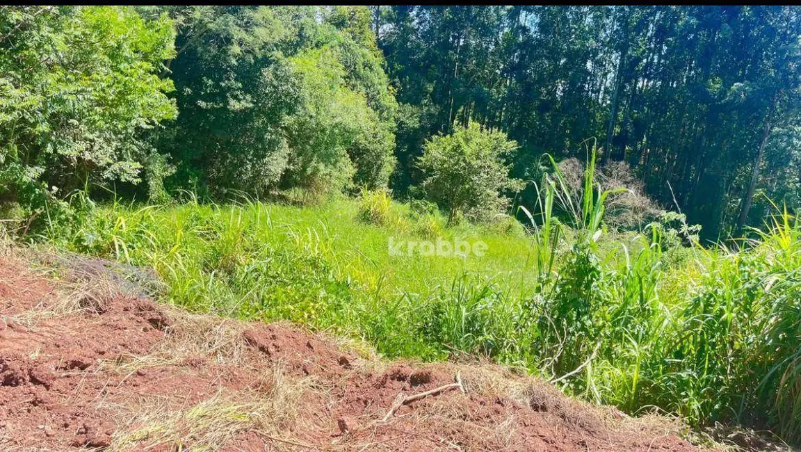 Foto 4 de Sala Comercial à venda, 3247m2 em Colinas - RS