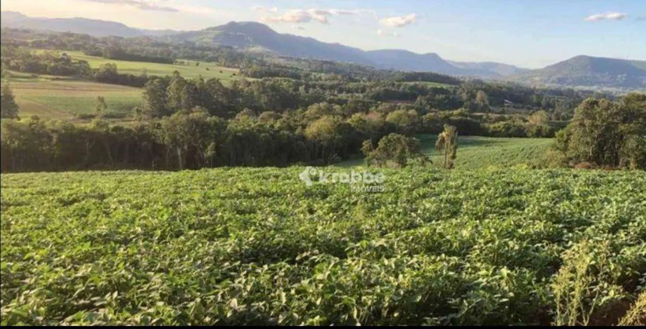 Foto 3 de Chácara com 1 quarto à venda, 110000m2 em Colinas - RS