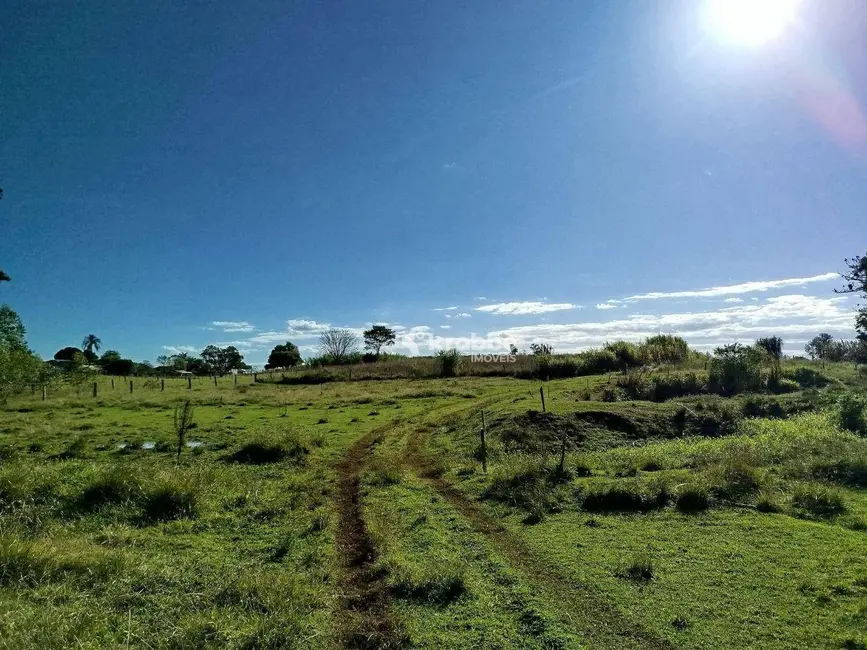 Foto 7 de Chácara com 2 quartos à venda, 16000m2 em Estrela - RS