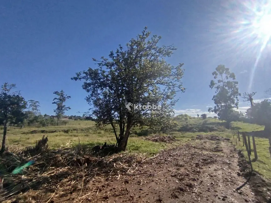 Foto 6 de Chácara com 2 quartos à venda, 16000m2 em Estrela - RS
