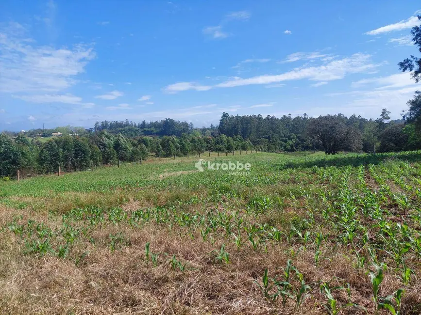 Sala Comercial à venda, 8410m2 em Estrela - RS - imagem 3 Foto 3 de Sala Comercial à venda, 8410m2 em Estrela - RS