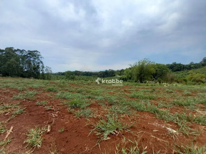 Foto 3 de Terreno / Lote à venda, 5031m2 em Estrela - RS