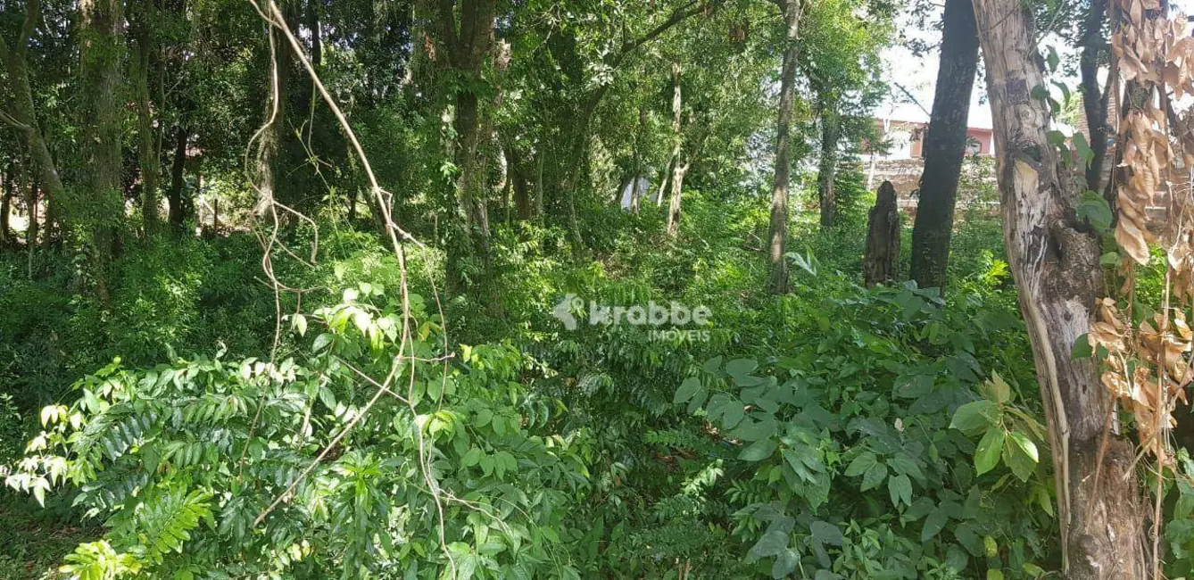 Foto 2 de Terreno / Lote à venda, 304m2 em Estrela - RS
