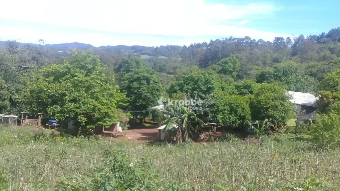 Foto 4 de Chácara com 1 quarto à venda, 4300m2 em Santa Clara Do Sul - RS