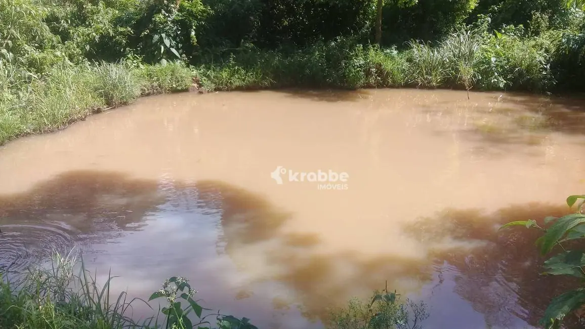 Foto 5 de Chácara com 1 quarto à venda, 4300m2 em Santa Clara Do Sul - RS