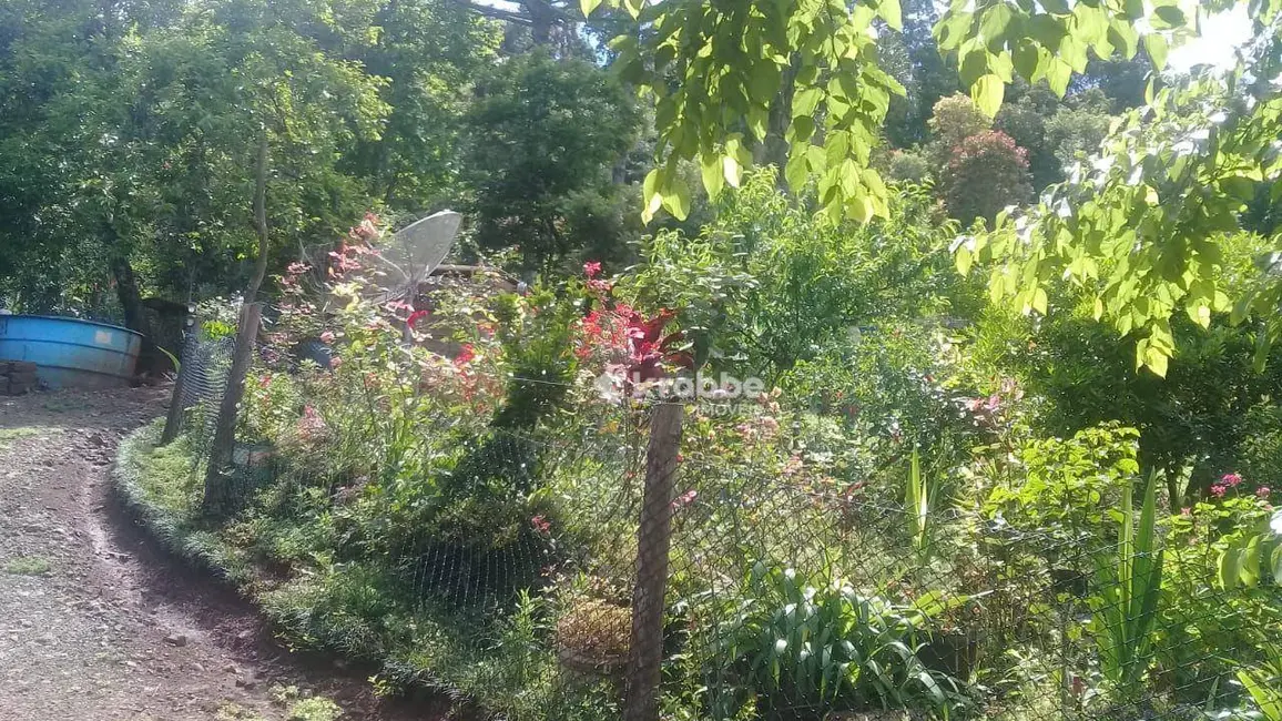 Foto 3 de Chácara com 1 quarto à venda, 4300m2 em Santa Clara Do Sul - RS