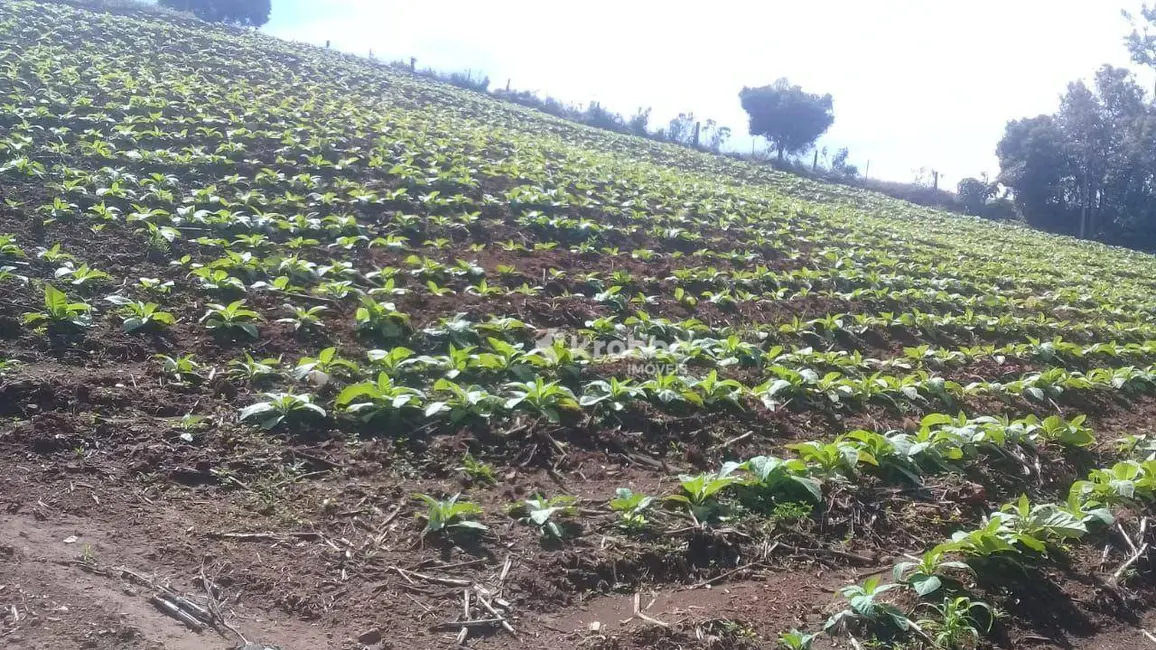Foto 6 de Chácara com 1 quarto à venda, 4300m2 em Santa Clara Do Sul - RS