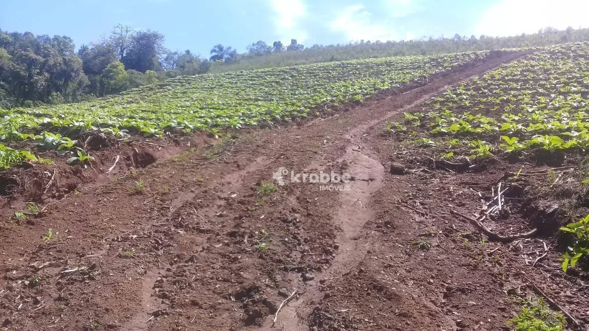 Foto 7 de Chácara com 1 quarto à venda, 4300m2 em Santa Clara Do Sul - RS