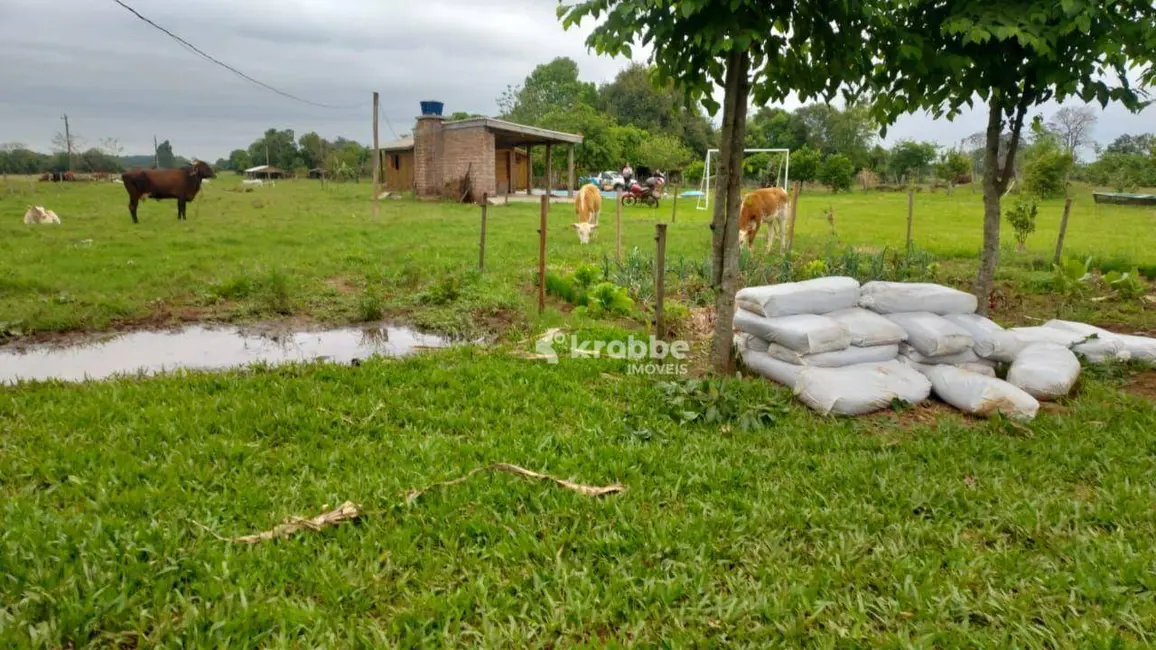 Foto 5 de Chácara com 1 quarto à venda, 56832m2 em Cruzeiro Do Sul - RS