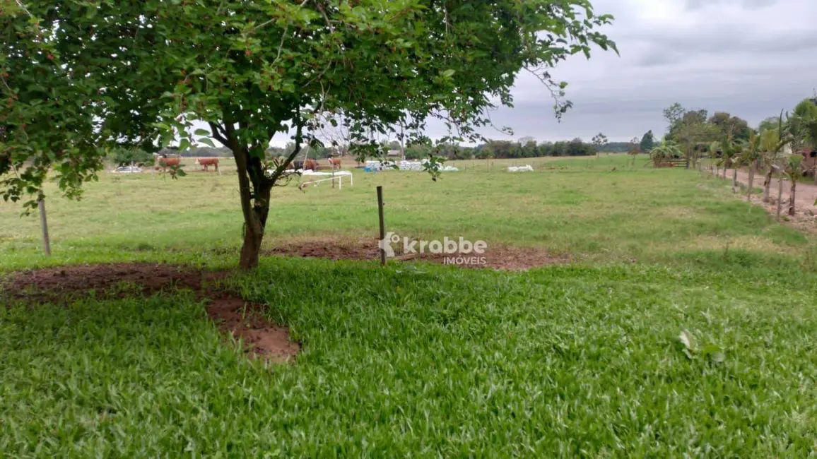 Foto 4 de Chácara com 1 quarto à venda, 56832m2 em Cruzeiro Do Sul - RS