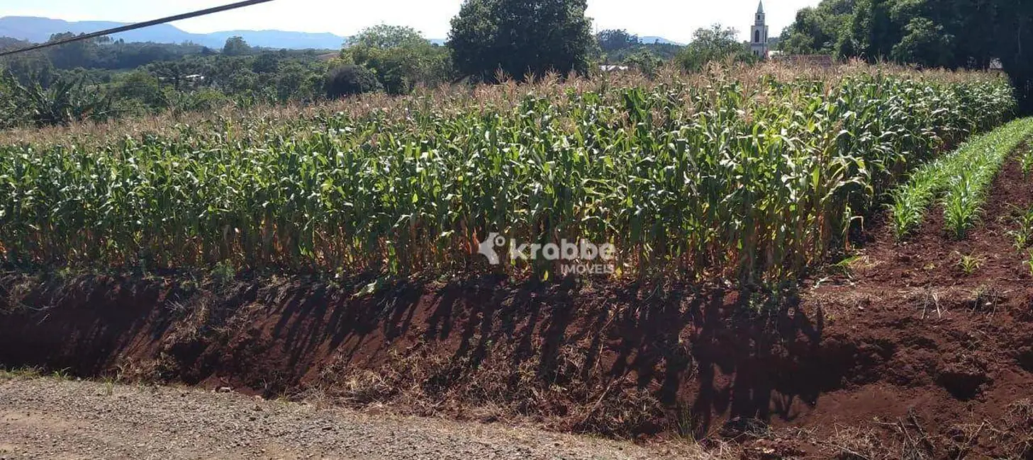 Foto 2 de Terreno / Lote à venda, 324m2 em Estrela - RS
