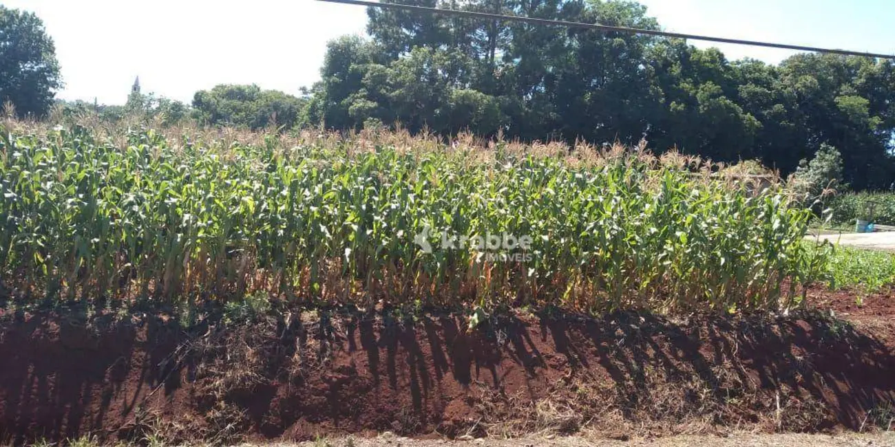 Foto 1 de Terreno / Lote à venda, 324m2 em Estrela - RS