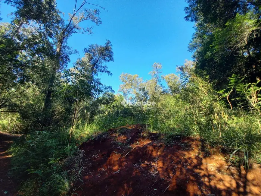 Foto 9 de Chácara com 1 quarto à venda, 1891m2 em Estrela - RS