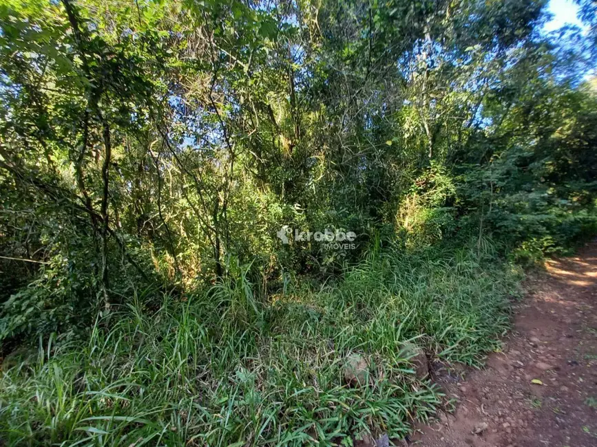 Foto 5 de Chácara com 1 quarto à venda, 1891m2 em Estrela - RS