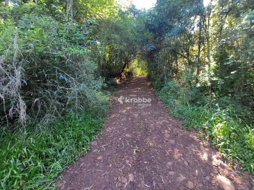 Foto 2 de Chácara com 1 quarto à venda, 1891m2 em Estrela - RS