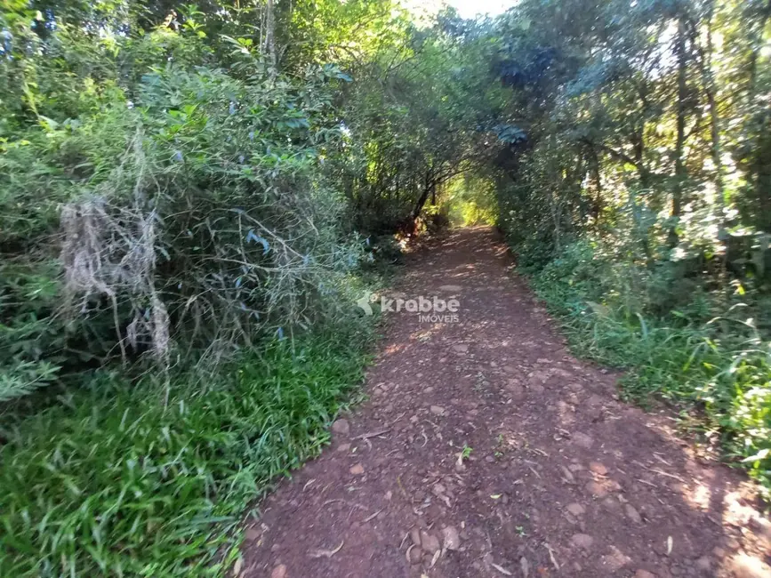 Foto 7 de Chácara com 1 quarto à venda, 1891m2 em Estrela - RS