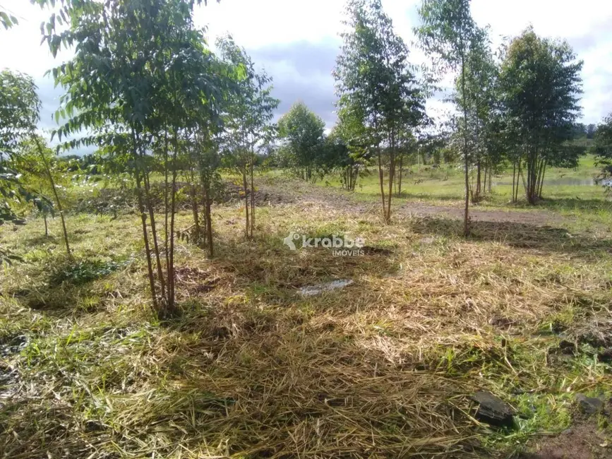 Foto 1 de Terreno / Lote à venda, 1896m2 em Estrela - RS