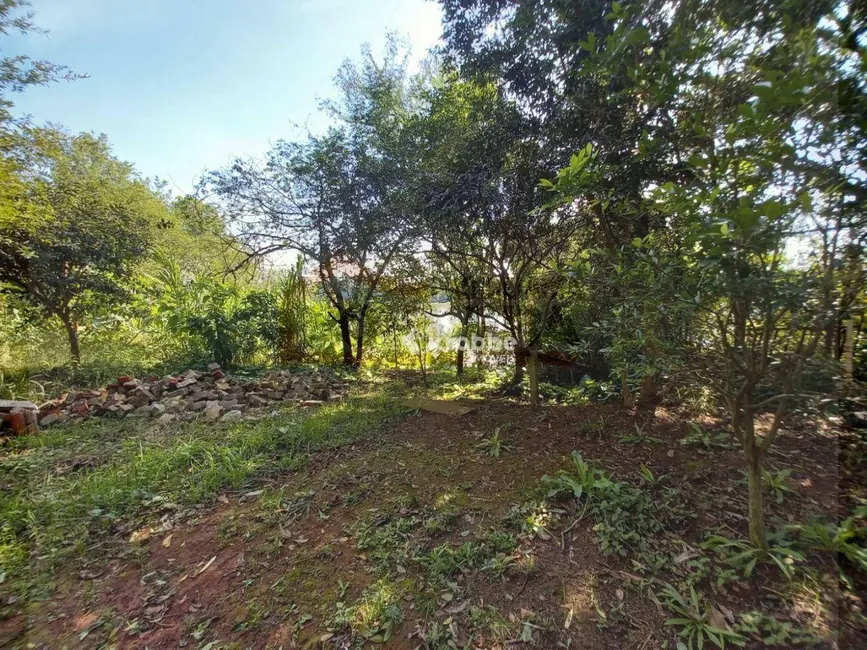 Foto 7 de Chácara com 1 quarto à venda, 8500m2 em Estrela - RS