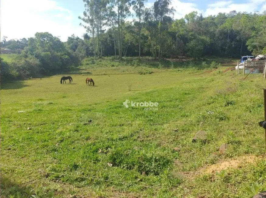Foto 4 de Sala Comercial à venda, 4475m2 em Cruzeiro Do Sul - RS