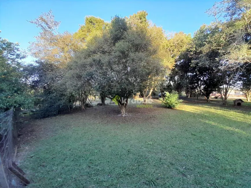 Foto 9 de Casa com 6 quartos à venda, 3500m2 em Estrela - RS