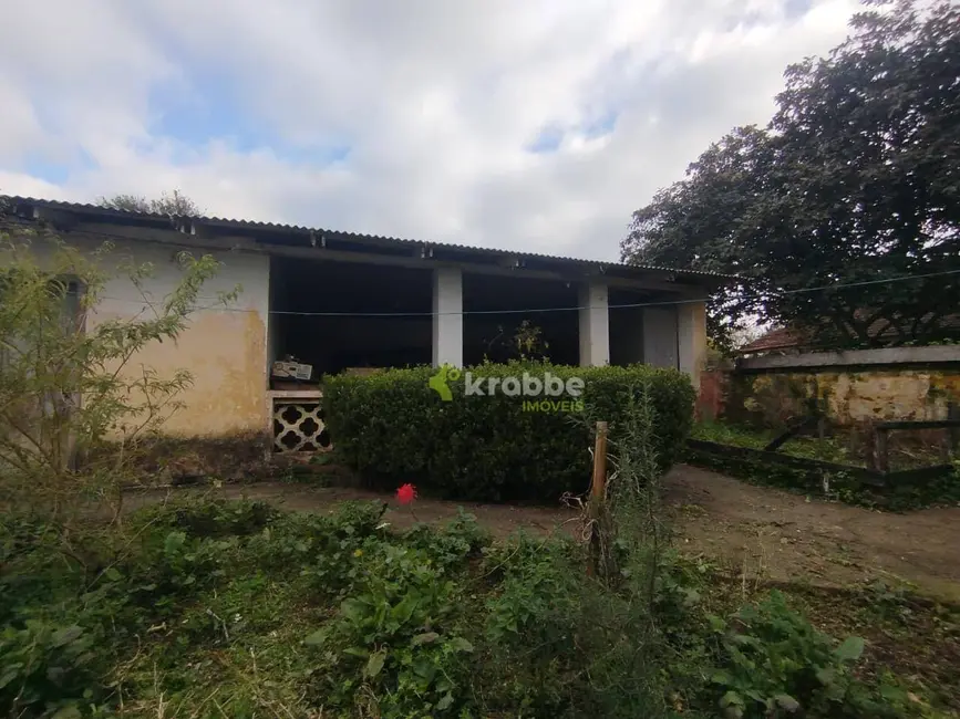 Foto 4 de Chácara com 4 quartos à venda, 80000m2 em Teutonia - RS