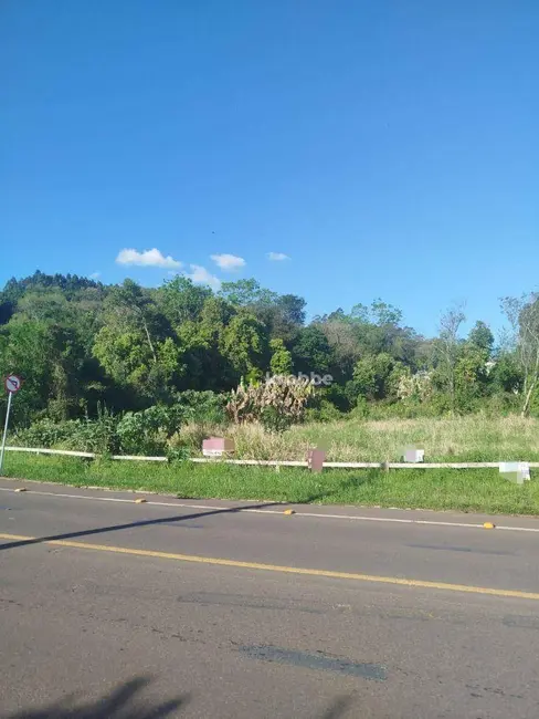 Foto 3 de Terreno / Lote à venda, 832m2 em Teutonia - RS