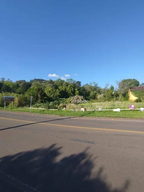 Foto 2 de Terreno / Lote à venda, 832m2 em Teutonia - RS