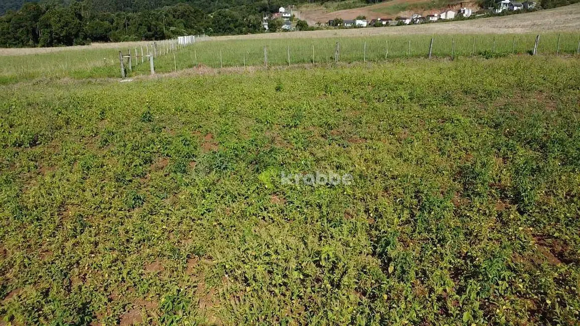 Foto 4 de Terreno / Lote à venda, 330m2 em Westfalia - RS