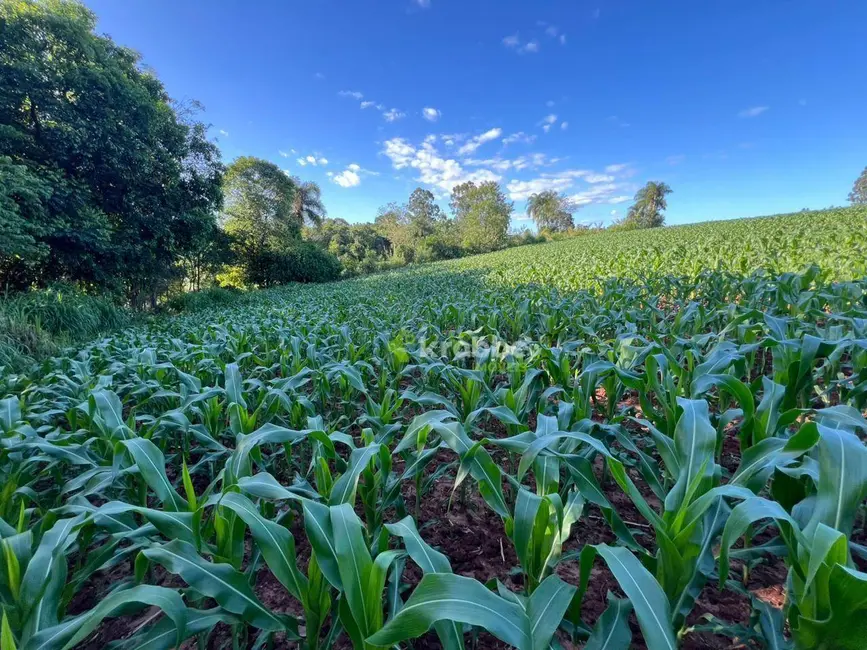 Foto 6 de Sala Comercial à venda, 45000m2 em Estrela - RS