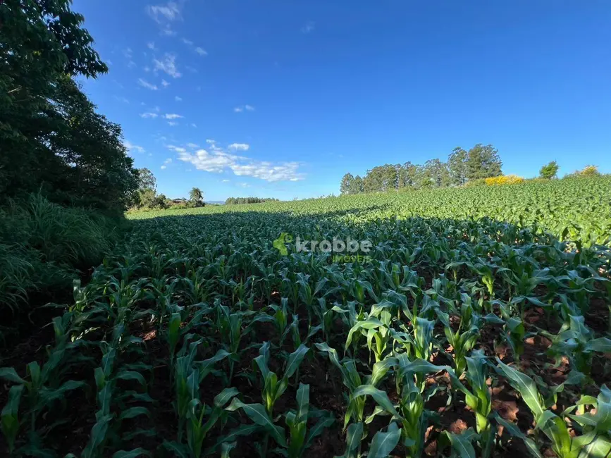 Foto 4 de Sala Comercial à venda, 45000m2 em Estrela - RS