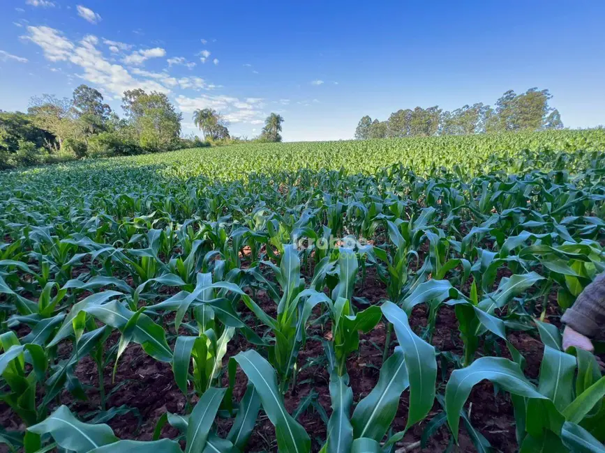 Foto 5 de Sala Comercial à venda, 45000m2 em Estrela - RS