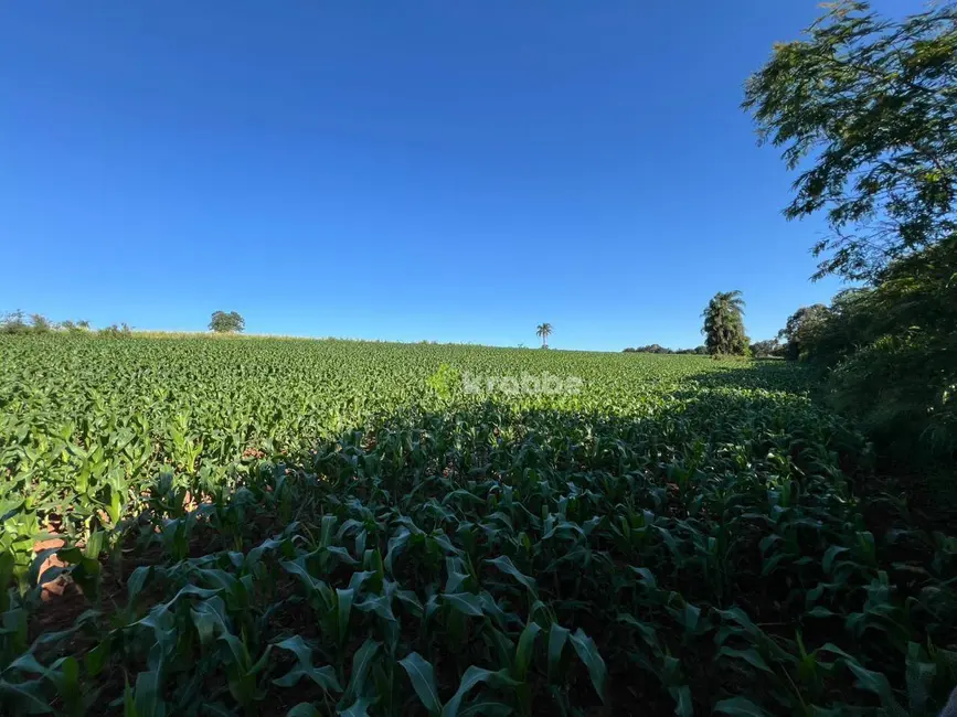 Foto 3 de Sala Comercial à venda, 45000m2 em Estrela - RS
