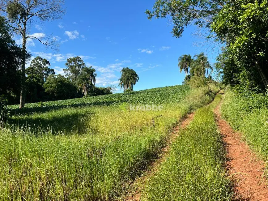 Foto 7 de Sala Comercial à venda, 45000m2 em Estrela - RS