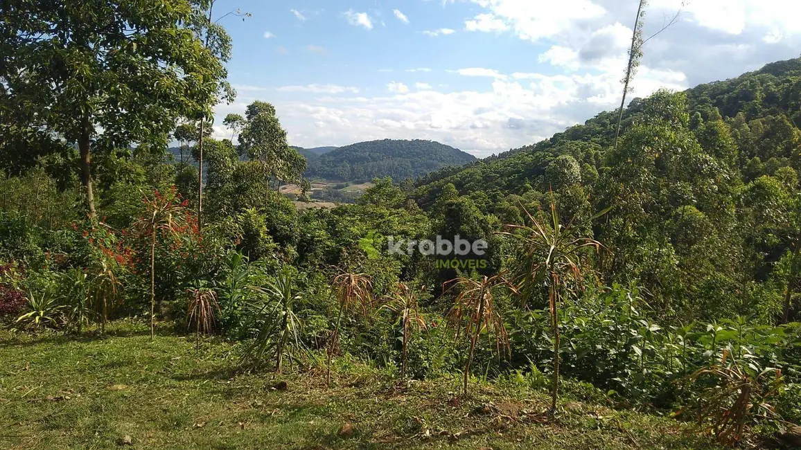 Foto 2 de Chácara com 1 quarto à venda, 12000m2 em Colinas - RS
