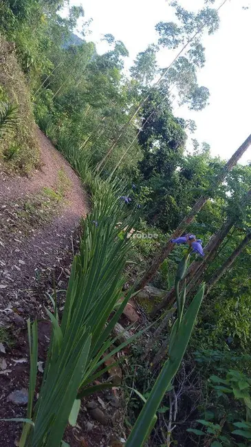 Foto 6 de Chácara com 1 quarto à venda, 12000m2 em Colinas - RS