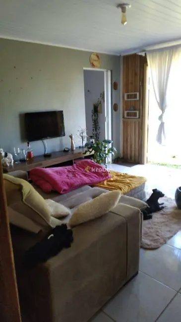 Foto 8 de Chácara com 1 quarto à venda, 12000m2 em Colinas - RS