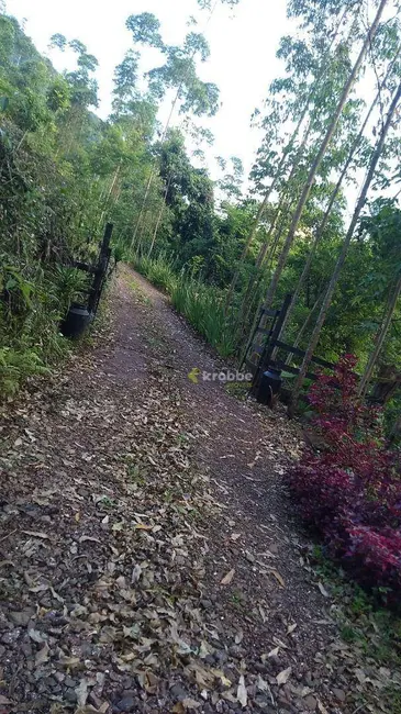 Foto 7 de Chácara com 1 quarto à venda, 12000m2 em Colinas - RS