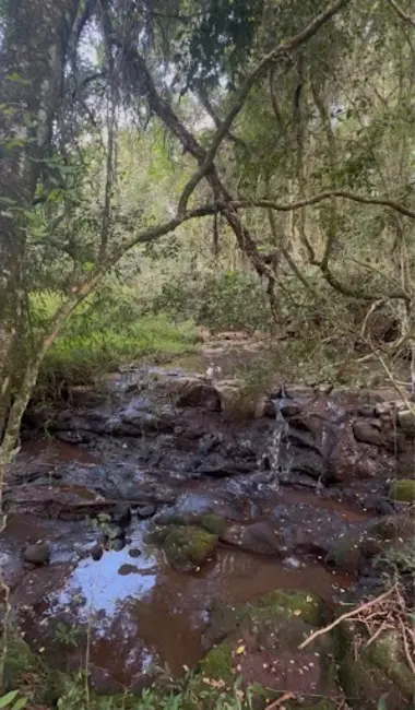 Sala Comercial à venda, 164000m2 em Teutonia - RS - imagem 3 Foto 3 de Sala Comercial à venda, 164000m2 em Teutonia - RS