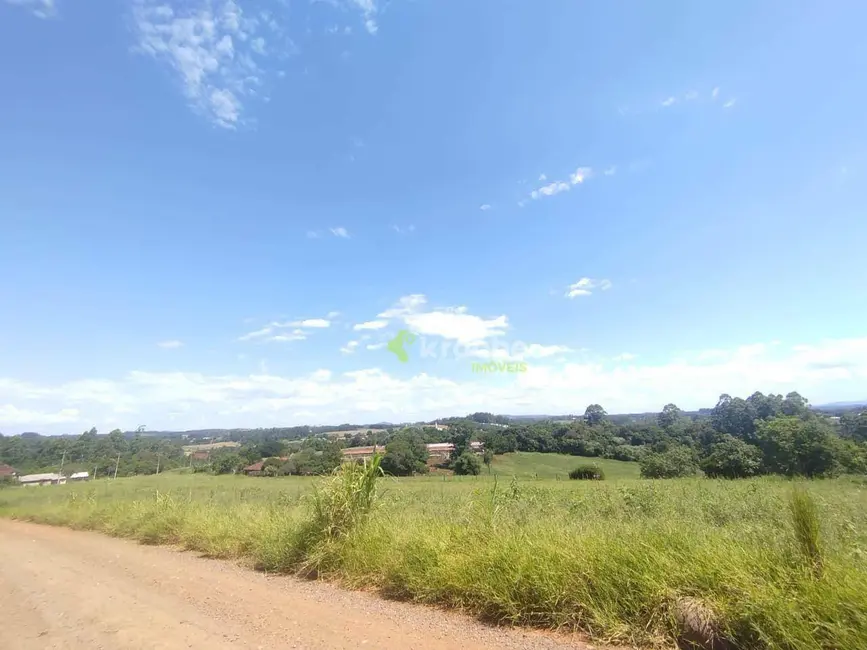 Foto 2 de Chácara à venda, 5000m2 em Estrela - RS