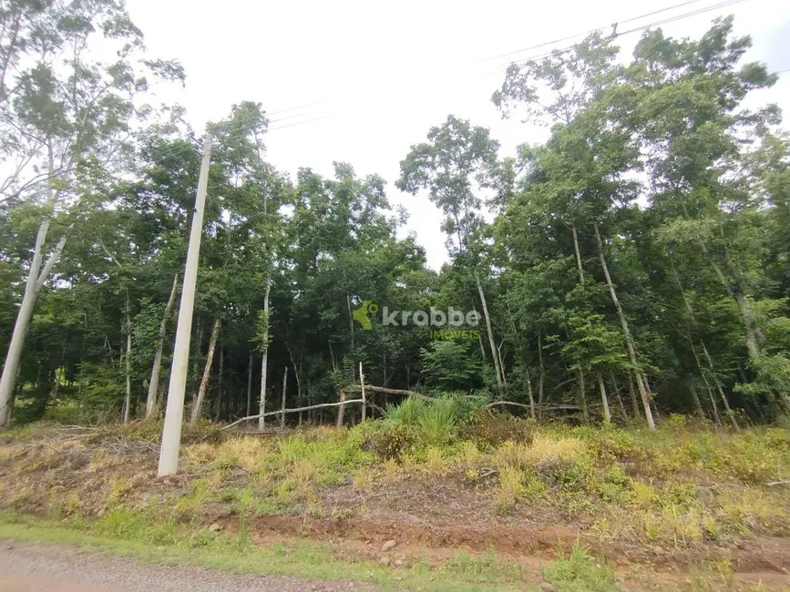 Foto 3 de Sala Comercial à venda, 25000m2 em Colinas - RS