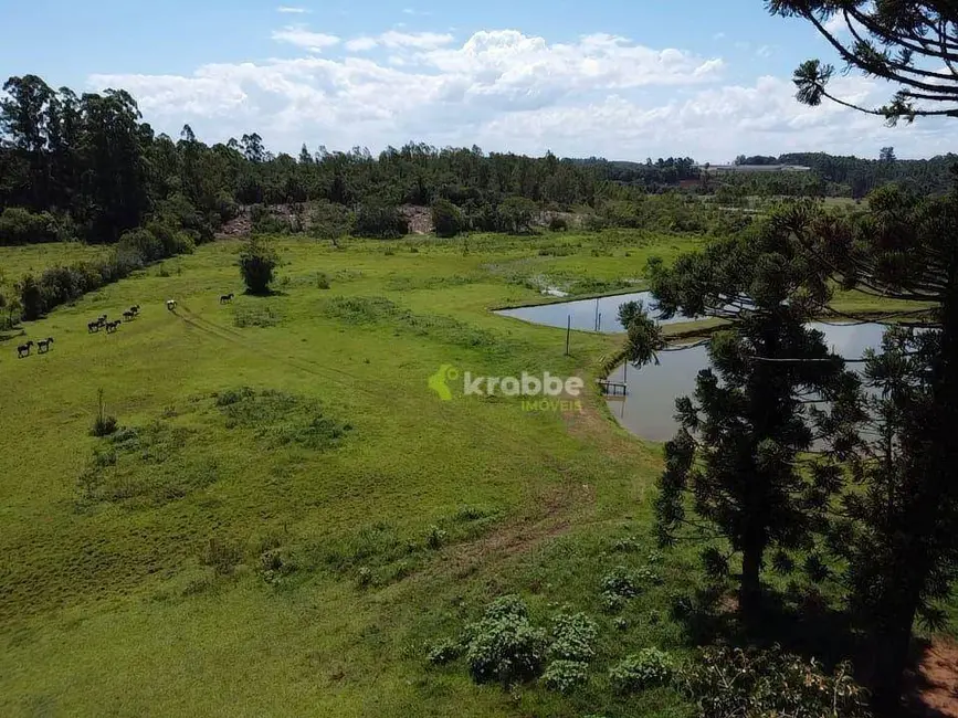 Foto 8 de Chácara com 6 quartos à venda, 59071m2 em Estrela - RS