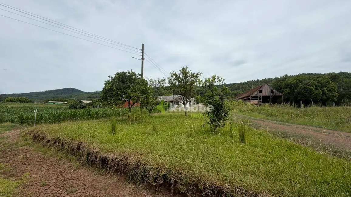 Foto 1 de Chácara com 3 quartos à venda, 1635m2 em Paverama - RS