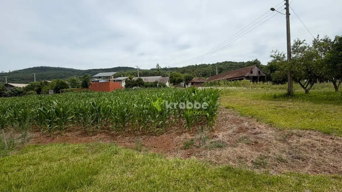 Foto 6 de Chácara com 3 quartos à venda, 1635m2 em Paverama - RS