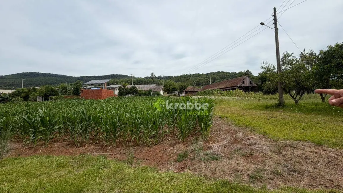 Foto 7 de Chácara com 3 quartos à venda, 1635m2 em Paverama - RS