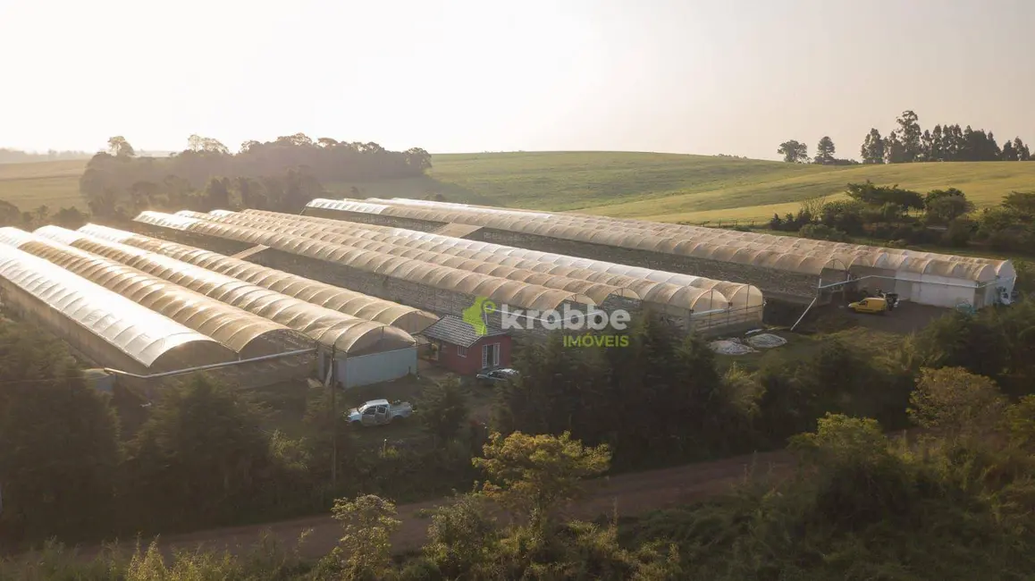 Foto 4 de Sala Comercial à venda, 30000m2 em Estrela - RS