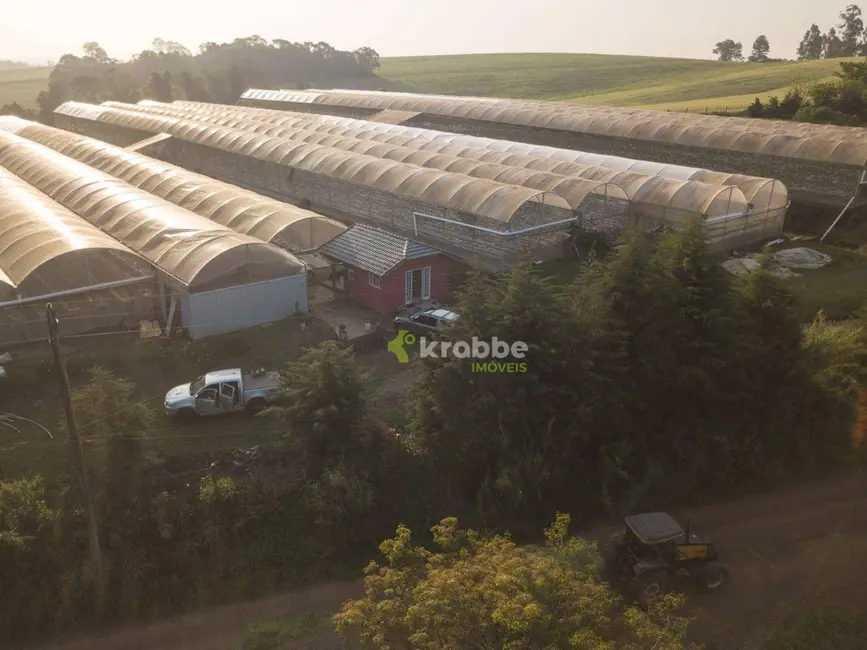 Foto 5 de Sala Comercial à venda, 30000m2 em Estrela - RS