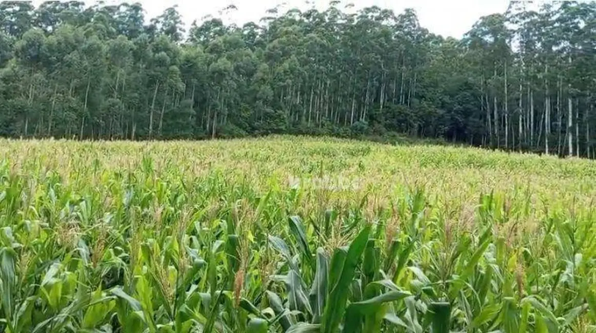 Foto 1 de Sala Comercial à venda, 145000m2 em Paverama - RS