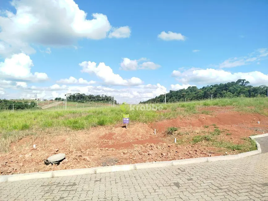 Foto 3 de Terreno / Lote à venda, 339m2 em Estrela - RS