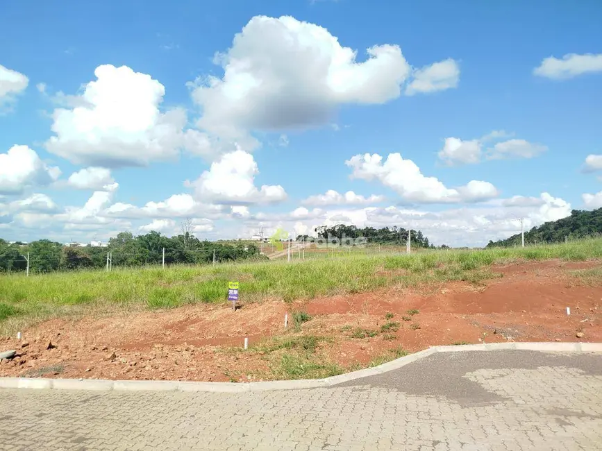 Foto 1 de Terreno / Lote à venda, 339m2 em Estrela - RS
