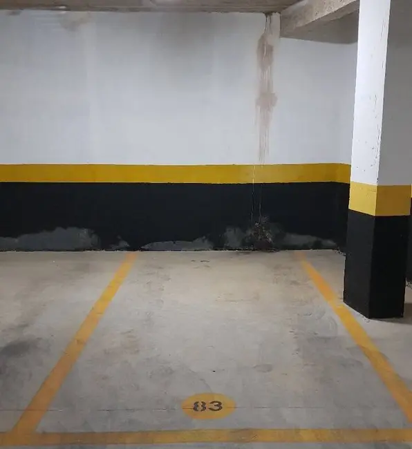 Apartamento com 2 quartos à venda, 59m2 em Vila Paulista, São Paulo - SP - imagem 9 Foto 9 de Apartamento com 2 quartos à venda, 59m2 em Vila Paulista, São Paulo - SP